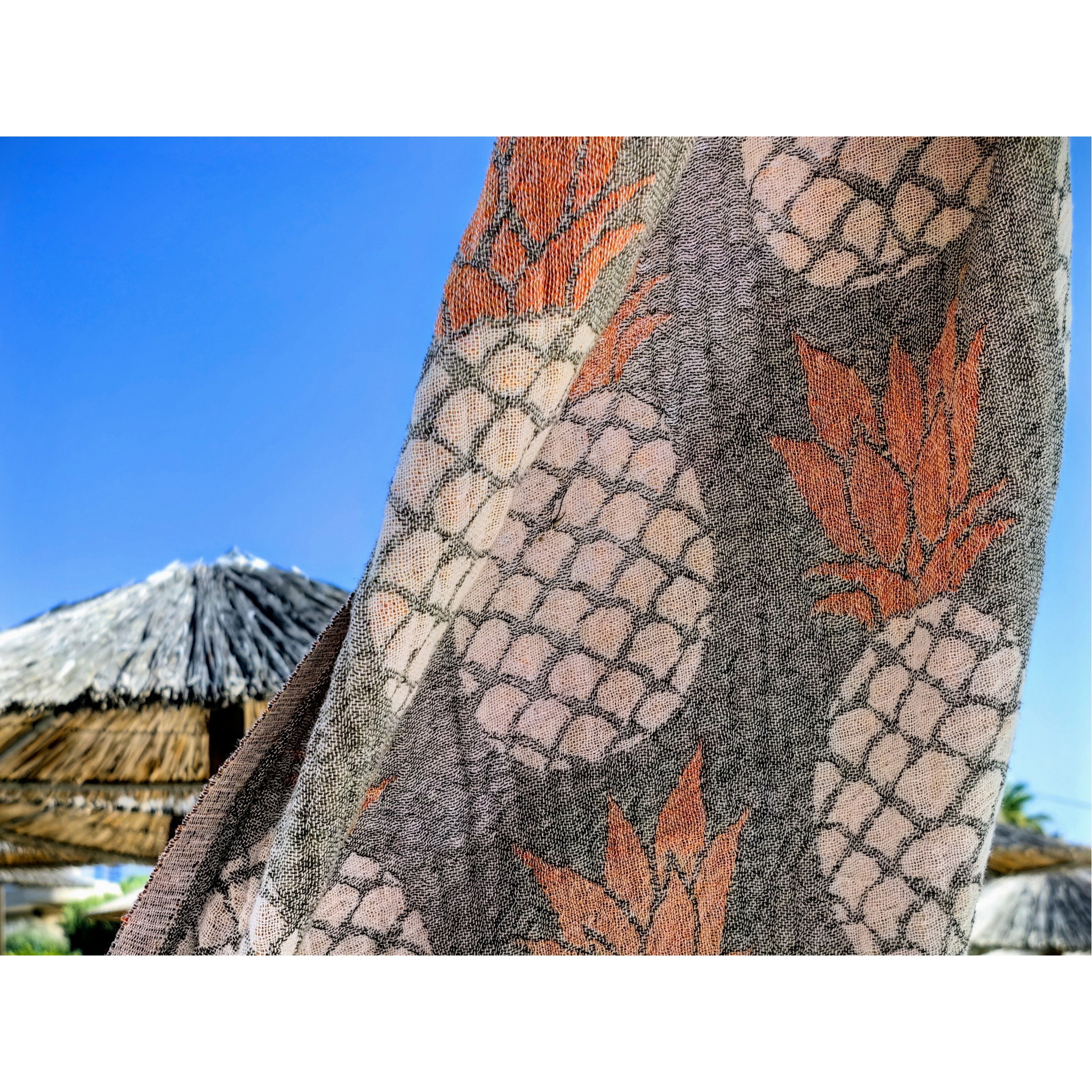 Двулицев пещемал Pineapple