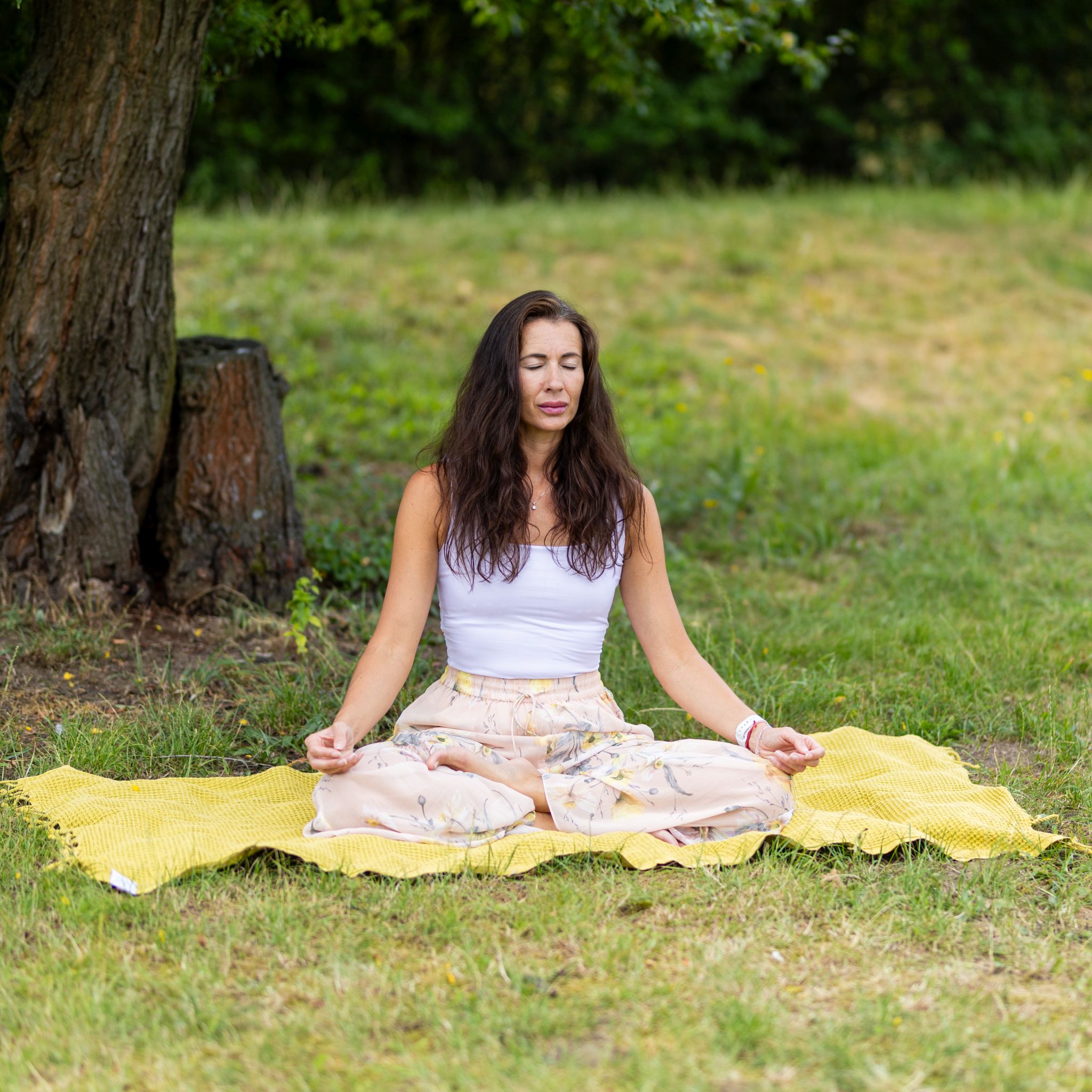 Пещемал Waffle