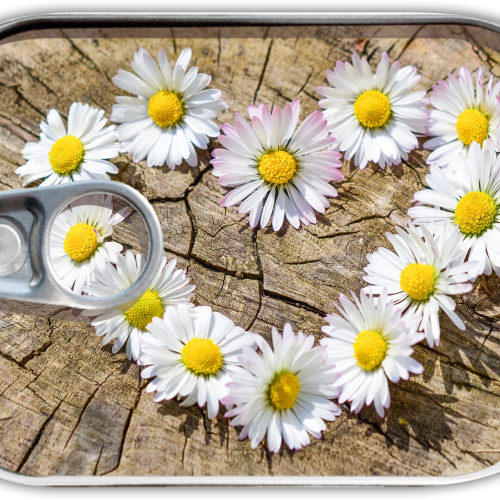 Плик за пари и пожелания от ново поколение "Маргаритки"