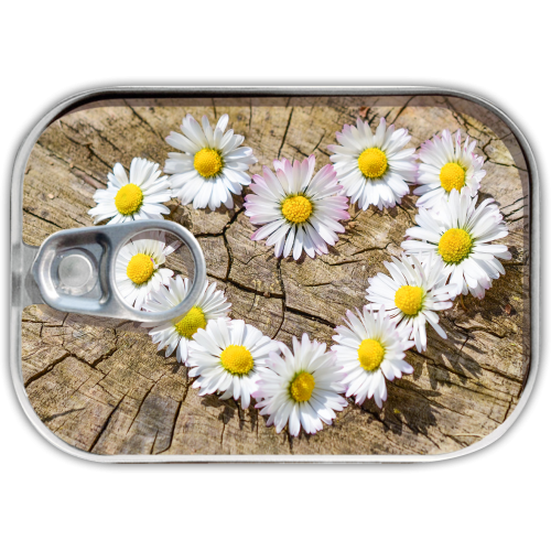 Плик за пари и пожелания от ново поколение "Маргаритки"