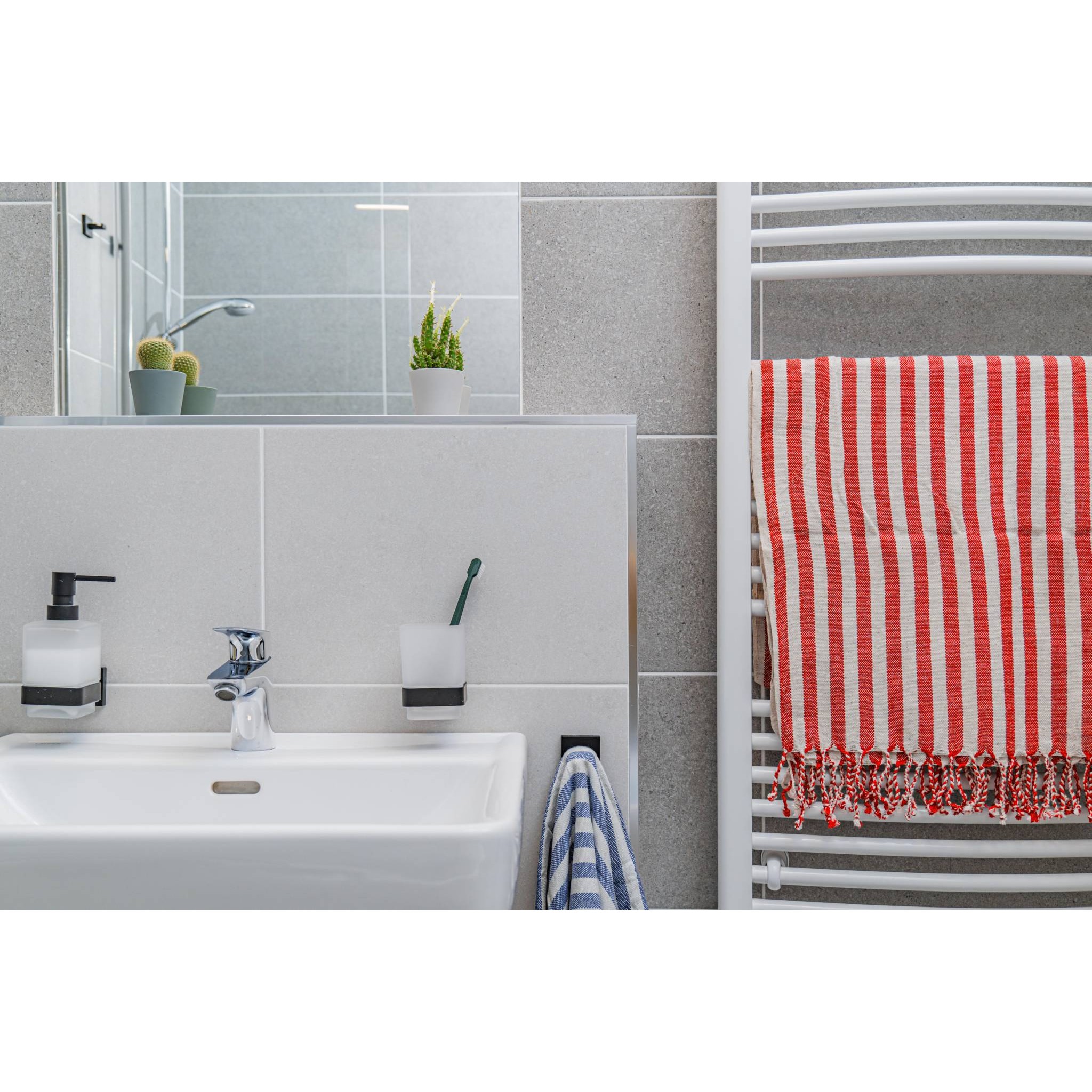 Пещемал Linum (с лен)