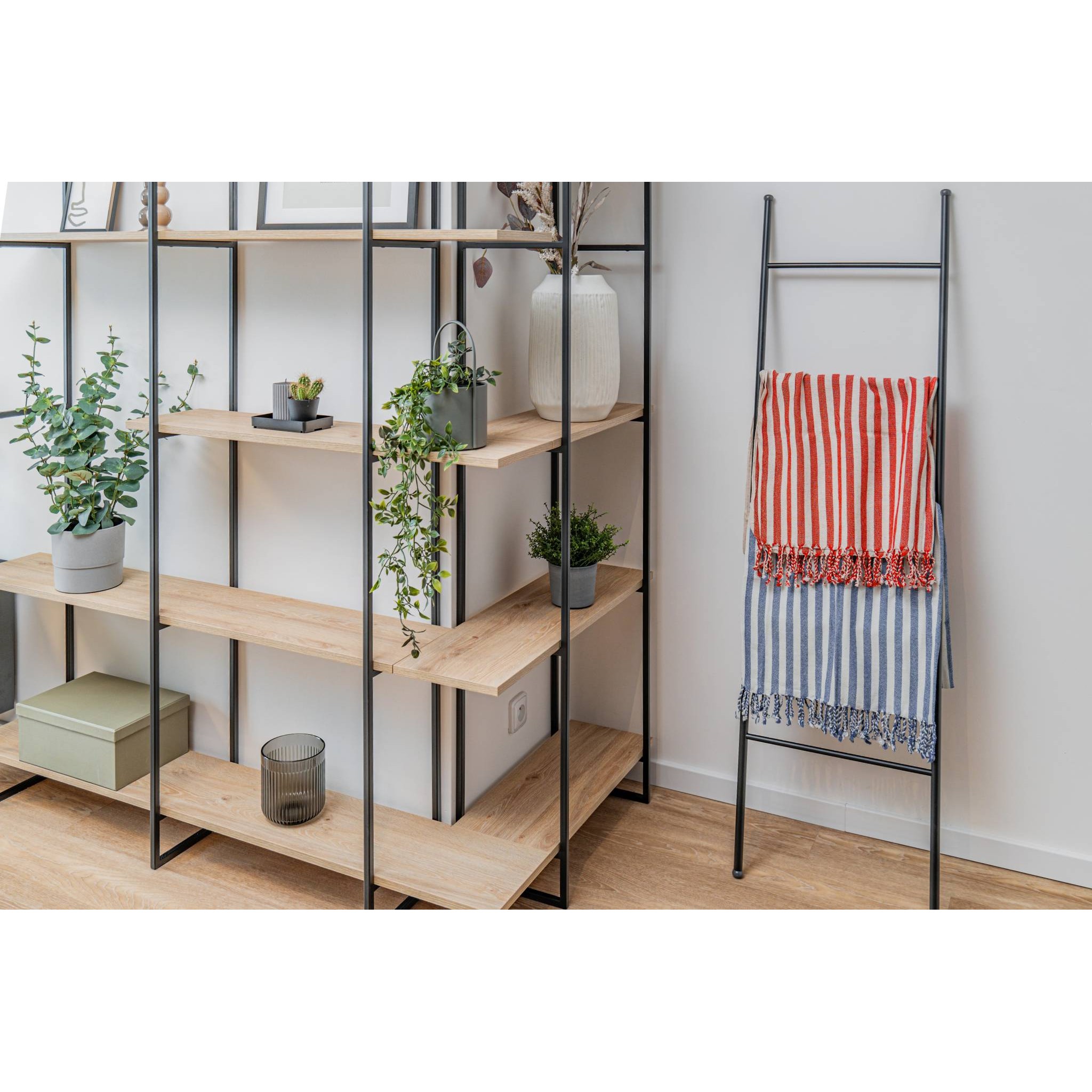 Пещемал Linum (с лен)