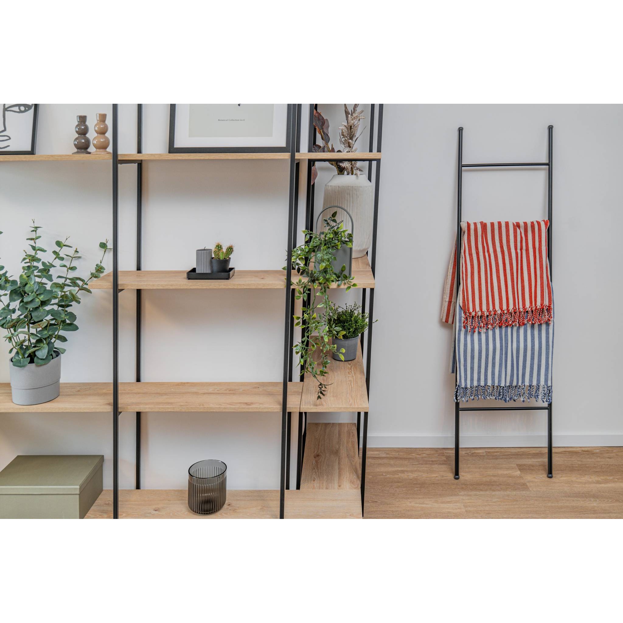 Пещемал Linum (с лен)