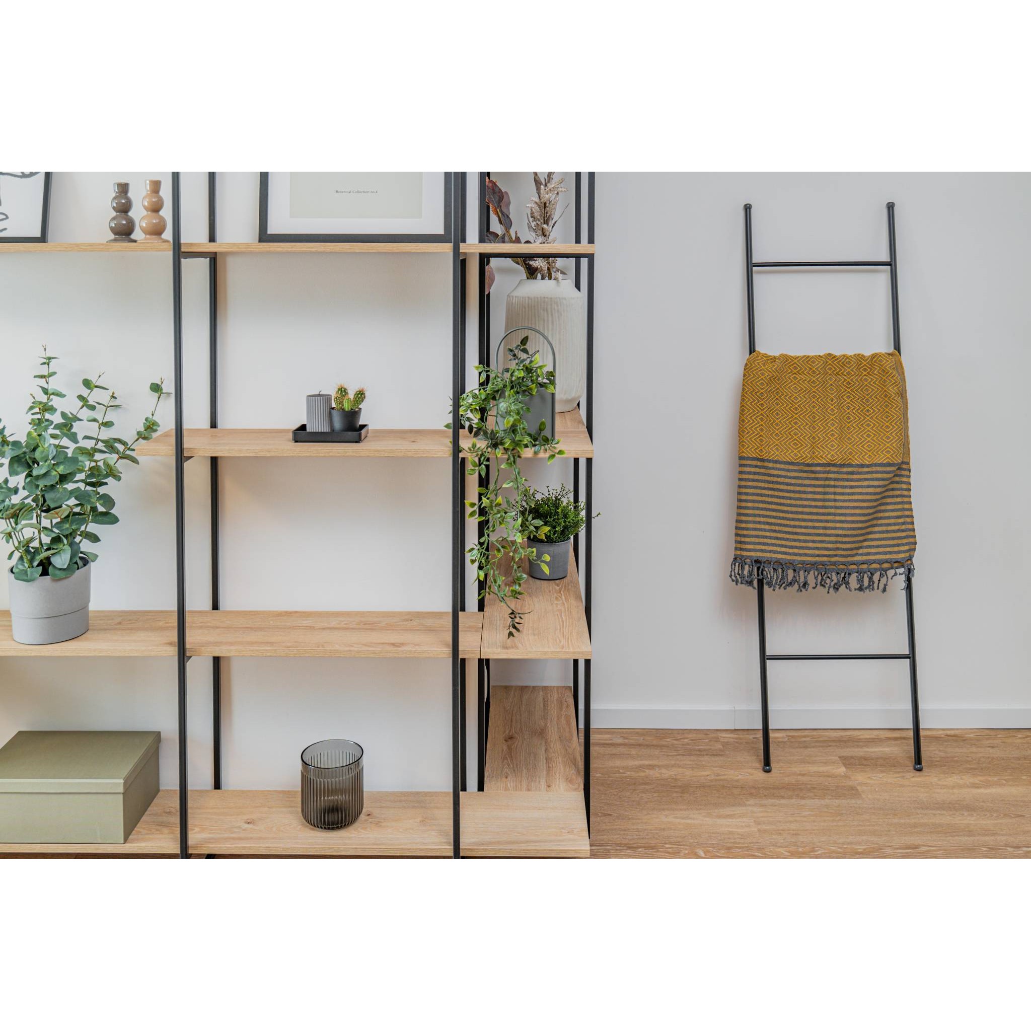 Пещемал Tijuana