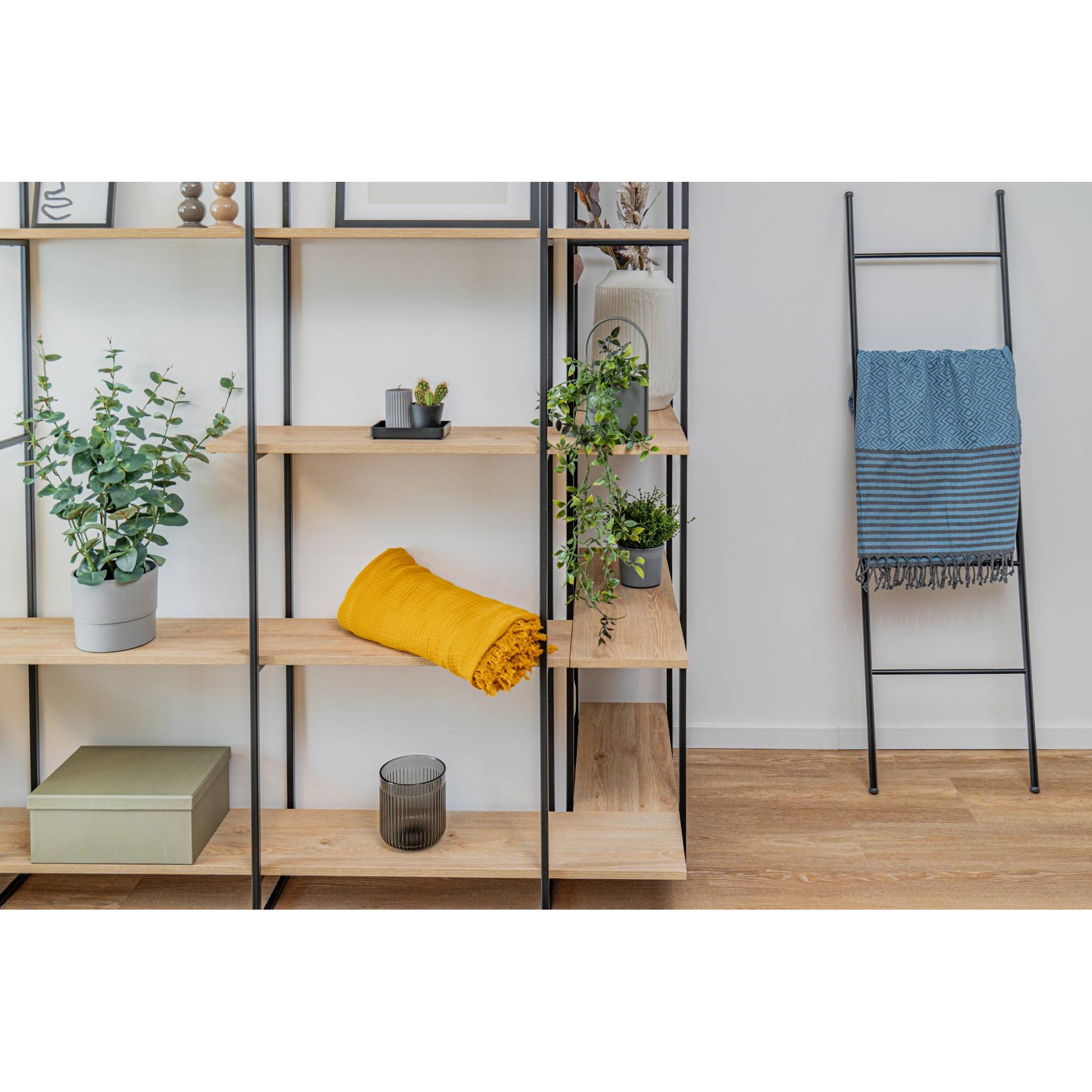 Пещемал Tijuana